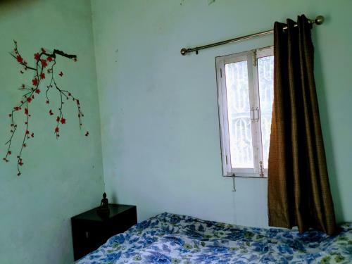 Albergue K-farms