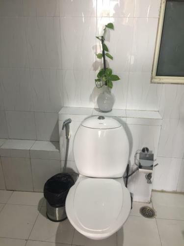 Apartamento Luxury Apt Aloha On Ganges