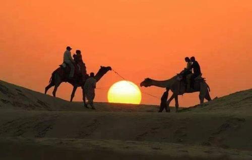 Plaza Desert Safari Camp