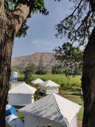 Magnus Caverns Resort