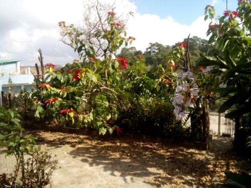 Troya Home Stay