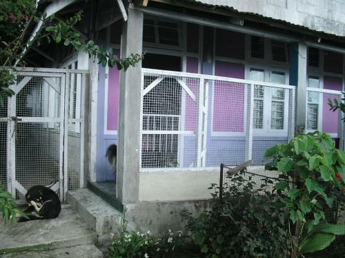 Troya Home Stay
