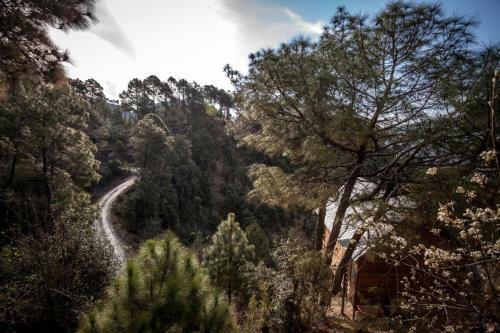 Hotel Suro Treehouse Resort