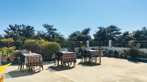 Hostal Orange Homestay