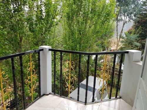 Hostal Shillong Pine Guest House