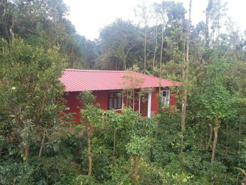 Athena Homestay