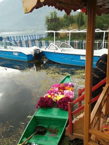 Houseboat Young Snow View Front Line Dal Lake