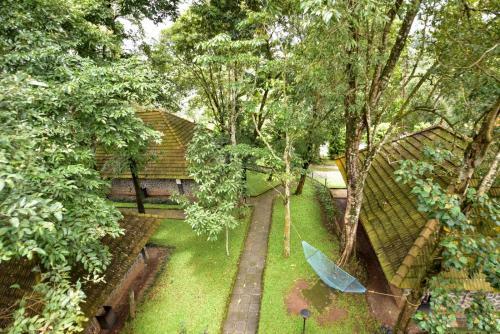 Agroturismo Hotel Treetop