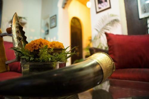 Bed & Breakfast Panchkote Raj Ganges