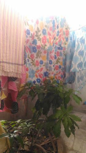Apartamento Prakrutika