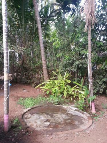 Hotel Tendulkar Beach Resort