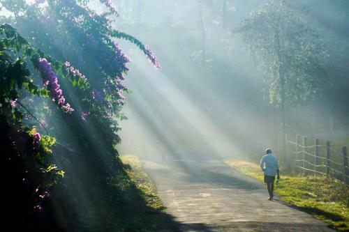 Hotel Vagamon Hills Resorts