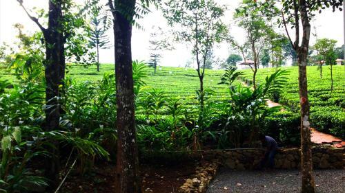 Hotel Orma Farm Resort