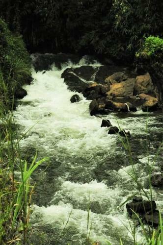 Hotel Greenvalley Tea House Vagamon