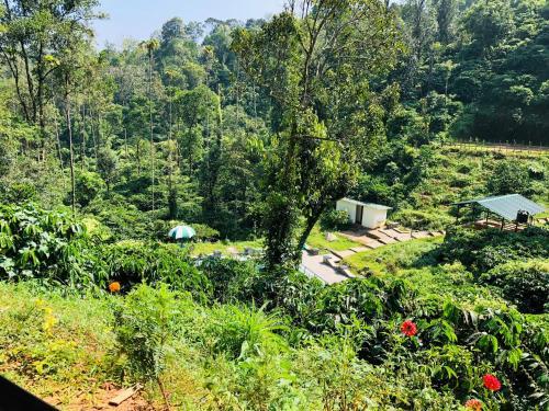 Hotel Cg-ala The Coffee Grove