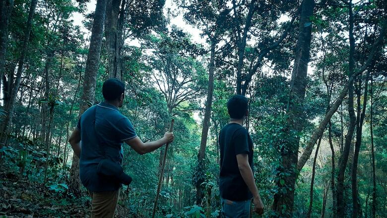 Hotel Wayanad Wild - Cgh Earth