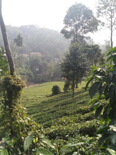 Villa Vythiri Hill Palace