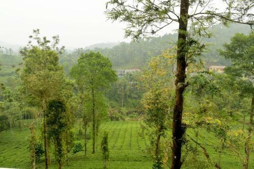 Vythiri Stream View