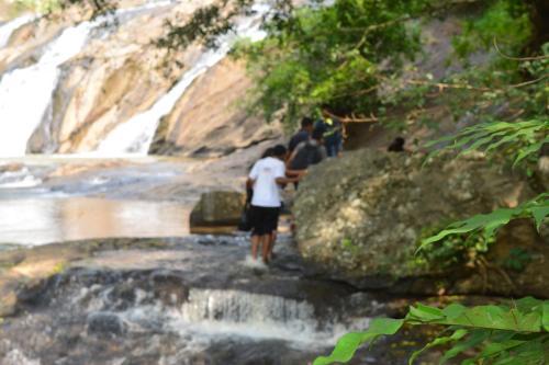 Wind Valley Homestay