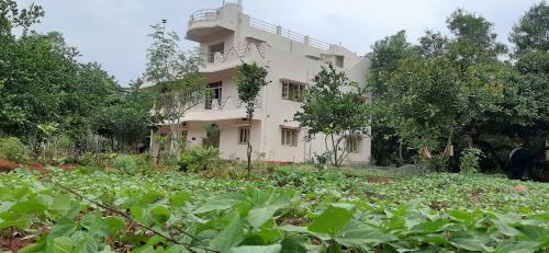 Hostal Lotus Garden Guest House