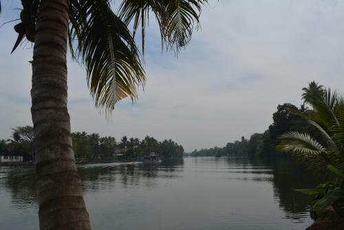 Bed & Breakfast Haya River View