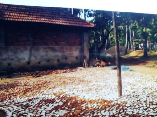 Bed & Breakfast Munroe Days Homestay