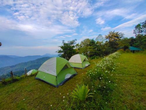 Birders Den Camps