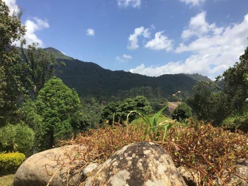 Hotel Wild Elephant Eco Friendly Resort