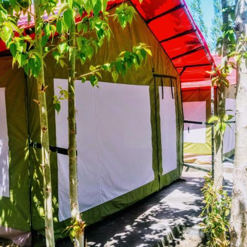 Hotel Summer Holiday Camp
