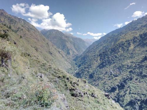 Hotel Tirthan Himalayan Holidays