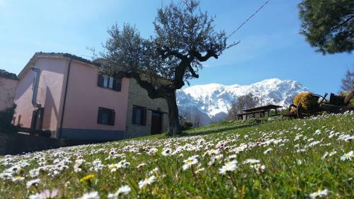 Agroturismo La Via Del Parco