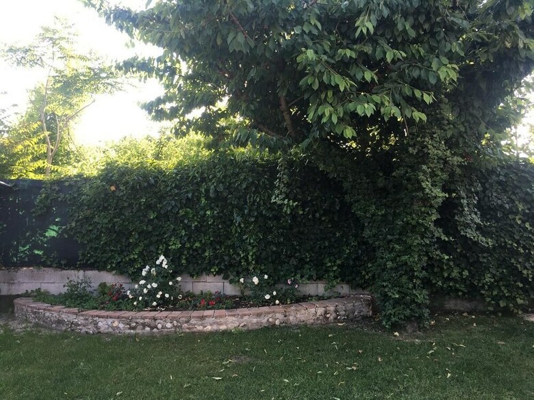 Bed & Breakfast Ca' Le Rose