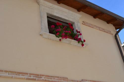 Case Vacanze Di Palazzo La Loggia