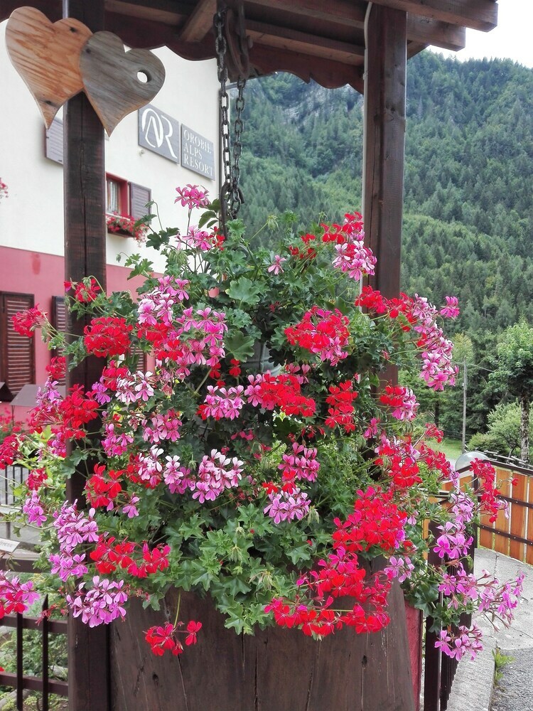Hotel Orobie Alps Resort