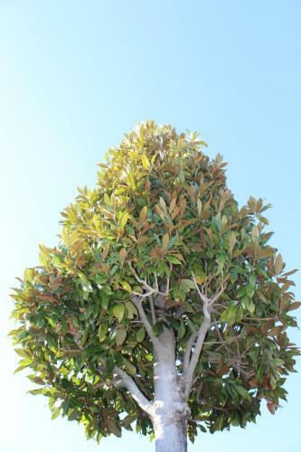 Villamaria7