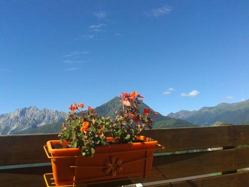Hotel Albergo Ristorante Sargas