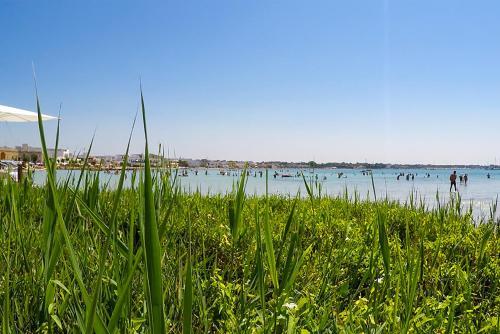 Porto Cesareo Apartment M514
