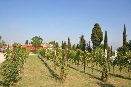 Empoli Apartment Sleeps 4 Air Con
