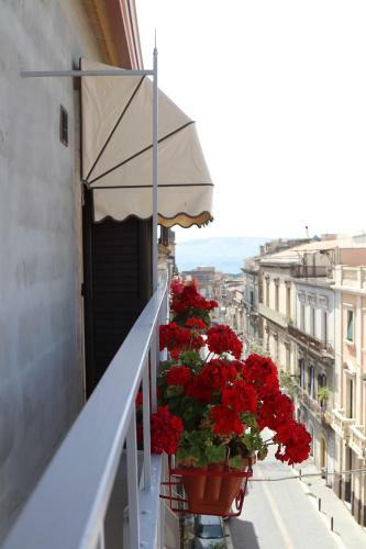 B&B Bellavista Francofonte