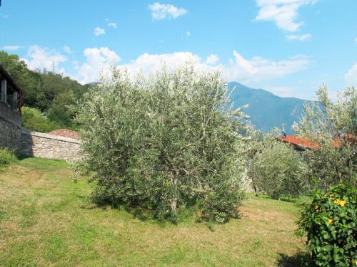 Apartamento Locazione Turistica Casa Marco (Gla120)