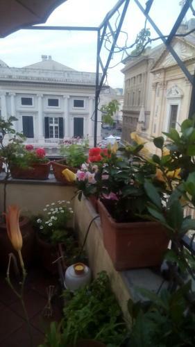 Bed And Breakfast " La Terrazza"
