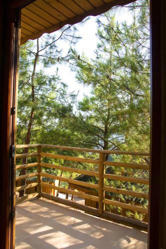 Tree Houses