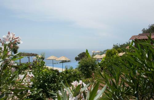 Olive Garden Kabak