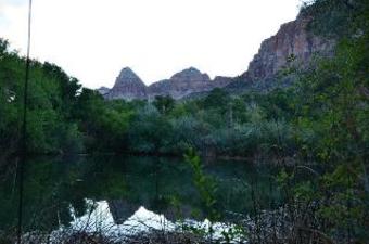 Hotel Best Western Zion Park Inn