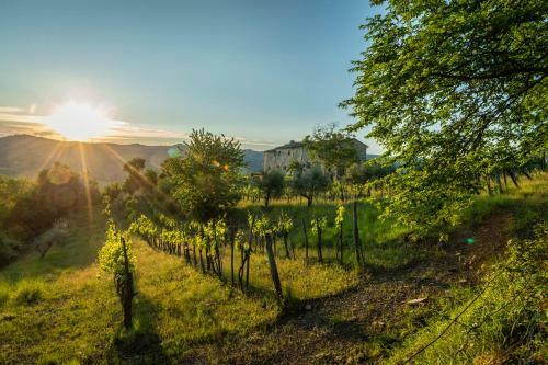 Hotel La Rimbecca Greve In Chianti