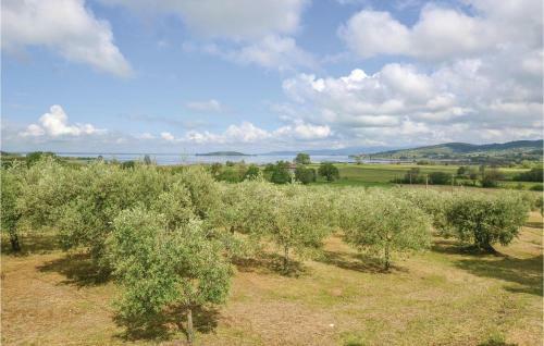 Apartamentos Greppo A