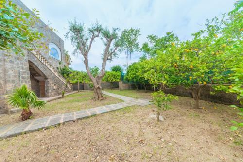 Villa Regine Apartments