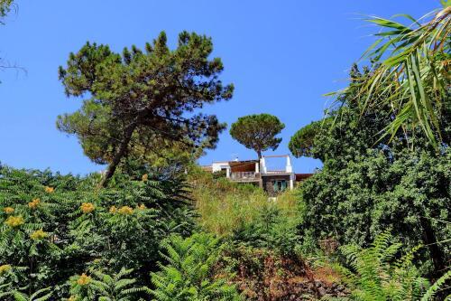 Apartamento Ischia