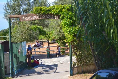 Apartamento Il Vigneto