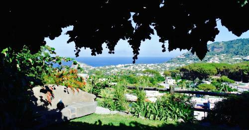 Apartamento Il Vigneto